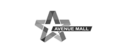 Avenue Mall